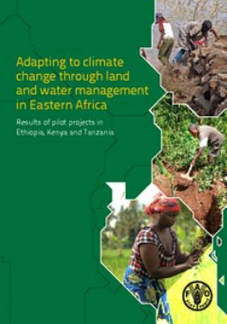 Adapting to climate change through land and water management in Eastern Africa