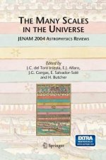 Many Scales in the Universe