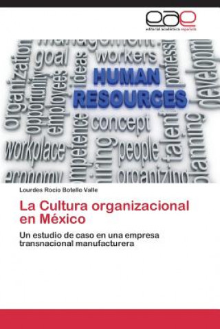 Cultura organizacional en Mexico