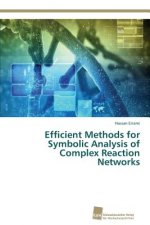 Efficient Methods for Symbolic Analysis of Complex Reaction Networks