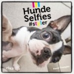 Hunde-Selfies