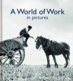 World of Work in Pictures