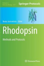 Rhodopsin