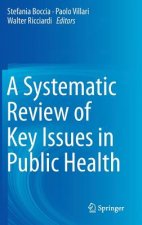 Systematic Review of Key Issues in Public Health