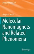 Molecular Nanomagnets and Related Phenomena