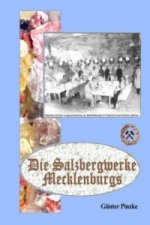 Die Salzbergwerke Mecklenburgs