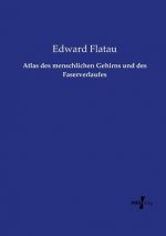 Atlas des menschlichen Gehirns und des Faserverlaufes