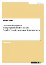Die Auswirkung eines Multiprojektportfolios auf die Projekt-Priorisierung unter Risikoaspekten