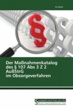 Der Maßnahmenkatalog des 107 Abs 3 Z 2 AußStrG im Obsorgeverfahren