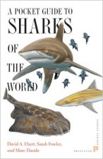 Pocket Guide to Sharks of the World