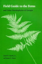 Field Guide to the Ferns