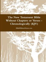 New Testament Bible Without Chapters or Verses - Chronological (KJV)