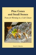 Pine Cones and Small Stones