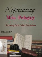 Negotiating a Meta-pedagogy