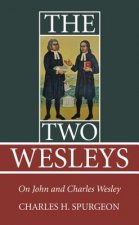 Two Wesleys