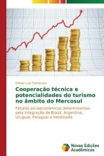 Cooperacao tecnica e potencialidades do turismo no ambito do Mercosul