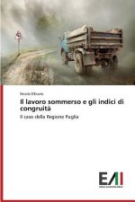 lavoro sommerso e gli indici di congruita