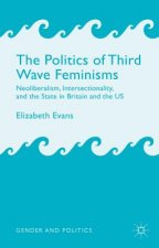 Politics of Third Wave Feminisms
