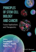 Principles of Stem Cell Biology and Cancer - Future Applications and Therapeutics