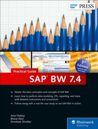 SAP BW 7.4-Practical Guide