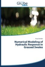Numerical Modeling of Hydraulic Response in Grassed Swales