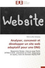 Analyser, Concevoir Et D velopper Un Site Web Adaptatif Pour Une Ong