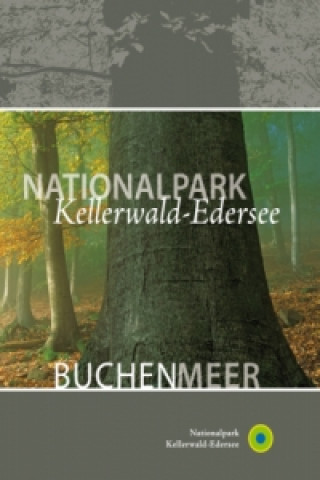 Nationalpark Kellerwald-Edersee Buchenmeer