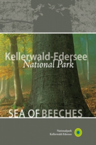 Kellerwald-Edersee National Park Sea of beeches