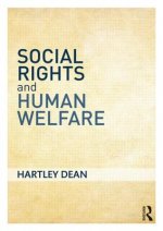 Social Rights and Human Welfare