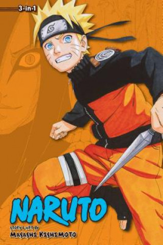 Naruto (3-in-1 Edition), Vol. 11