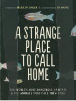Strange Place to Call Home