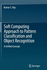 Soft Computing Approach to Pattern Classification and Object Recognition