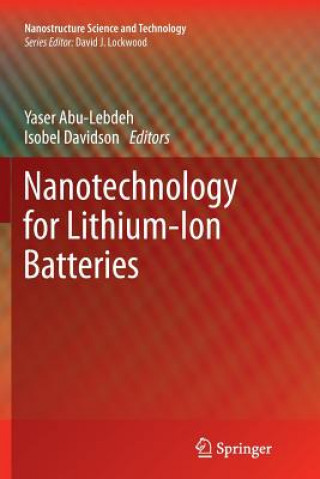Nanotechnology for Lithium-Ion Batteries