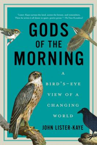 Gods of the Morning - A Bird's-Eye View of a Changing World