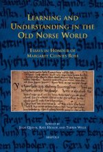 Learning and Understanding in the Old Norse World