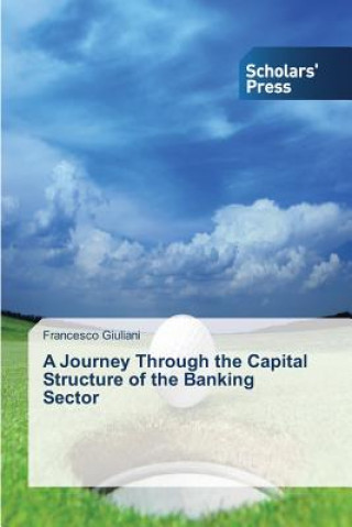 Journey Through the Capital Structure of the Banking Sector