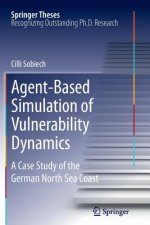 Agent-Based Simulation of Vulnerability Dynamics