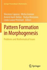 Pattern Formation in Morphogenesis
