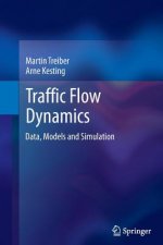 Traffic Flow Dynamics
