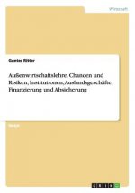 Aussenwirtschaftslehre. Chancen und Risiken, Institutionen, Auslandsgeschafte, Finanzierung und Absicherung