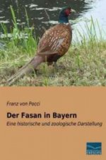 Der Fasan in Bayern