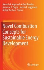 Novel Combustion Concepts for Sustainable Energy Development