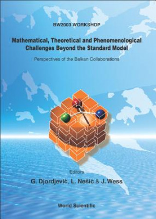 Mathematical, Theoretical and Phenomenological Challenges Beyond the Standard Model