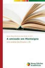 amizade em Montaigne