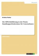 SEPA-Einfuhrung in der Praxis. Handlungserfordernisse fur Unternehmen