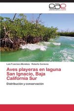 Aves playeras en laguna San Ignacio, Baja California Sur
