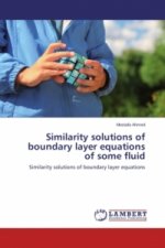 Similarity solutions of boundary layer equations of some fluid