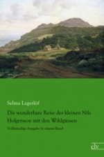 Die wunderbare Reise des kleinen Nils Holgersson mit den Wildgänsen