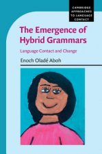 Emergence of Hybrid Grammars
