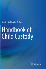 Handbook of Child Custody